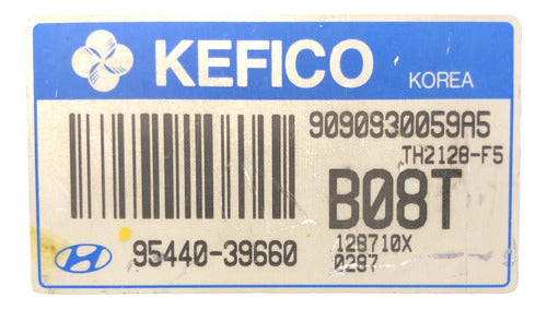 Modulo Tcm Santa Fe 2001-2003 95440-39660