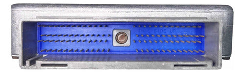 Computadora Ford Mustang 3.8l A/t 1996 F6zf-12a650-dd