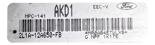 Computadora Ford Expedition 5.4l 00-02 2l1a-12a650-fb