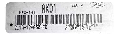 Pcm Computadora Ford Expedition 5.4l 00-02 2l1a-12a650-fb