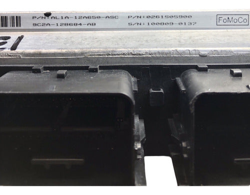 Computadora Ford Expedition 5.4l 2010 Al1a-12a650-asc