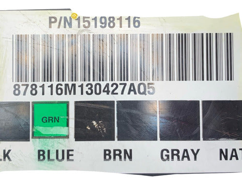 Módulo Bcm Chevrolet Silverado 03-07 15198116