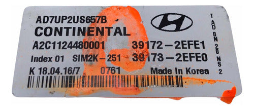Computadora Hyundai Elantra 2.0l 2017-2020 39172-2efe1