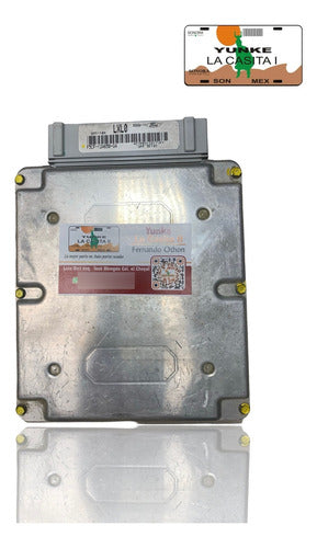 Computadora Ford Escort 1.9l A/t 1995 F5cf-12a650-ga (lxl0)