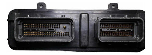 Computadora Saturn Ion 2.2l 05-06 12596917 (ykwz)