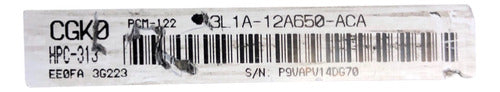 Computadora Ford Expedition 4.6l 2003 3l1a-12a650-aca