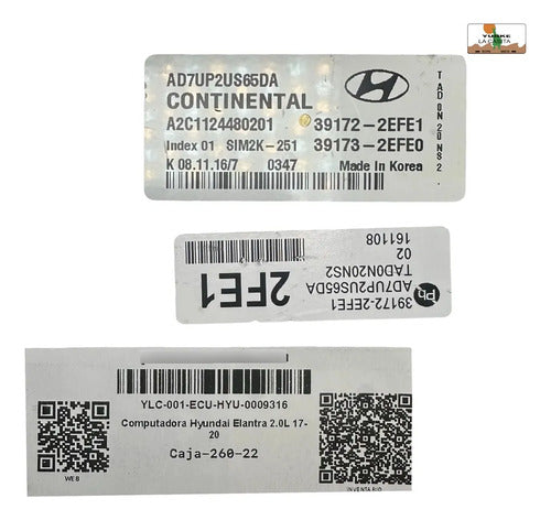 Computadora Hyundai Elantra 2.0l 17-20 39172-2efe1