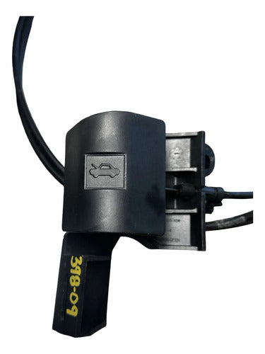 Manija Cofre Con Chicote Ford F-150 2015-2020