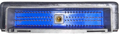 Computadora Ford Mustang 3.8l A/t 1996 F6zf-12a650-cd