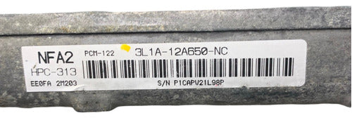 Computadora Ford Expedition 5.4l A/t 03-04 3l1a-12a650-nc