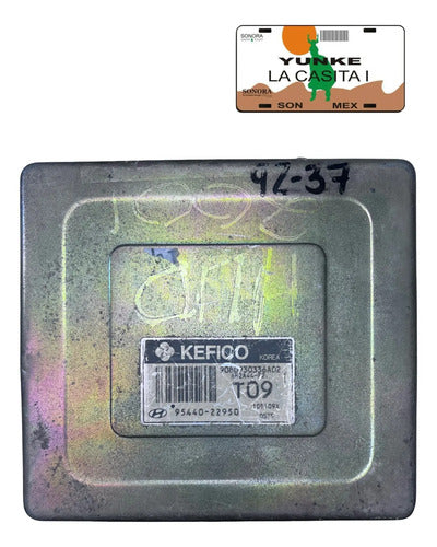 Modulo Tcm Hyundai Accent 1.6l A/t 01-06 95440-22950 (t09)