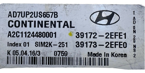 Computadora Hyundai Elantra  2.0l 17-20 39172-2efe1