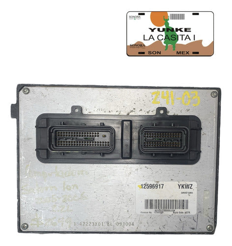 Computadora Saturn Ion 2.2l 05-06 12596917 (ykwz)