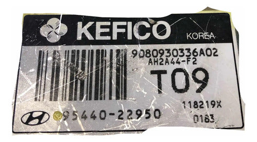 Módulo Tcm Hyundai Accent 1.6l A/t 01-06 95440-22950