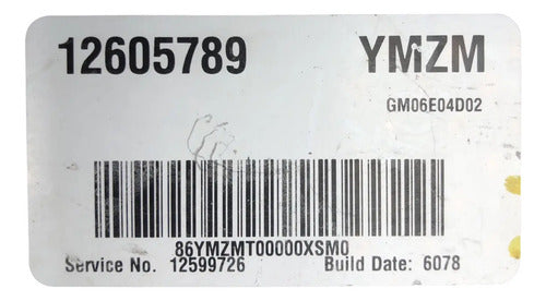 Pcm Computadora Saturn Ion 2.2l 2006-2007 12605789 (ymzm)