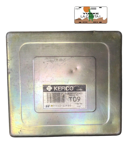 Módulo Tcm Hyundai Accent 1.6l A/t 01-06 95440-22950