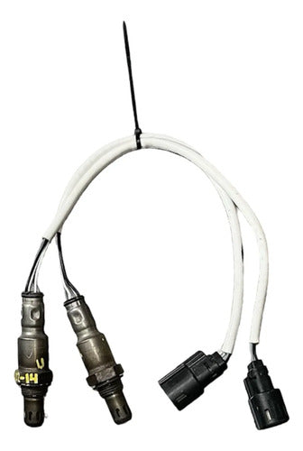 Sensor De Oxigeno Ford F-150 2015-2020 Fl3a-9g444-da