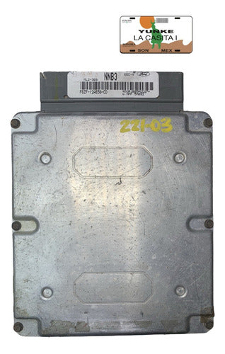 Computadora Ford Mustang 3.8l A/t 1996 F6zf-12a650-cd