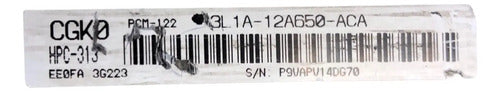 Pcm Computadora Ford Expedition 4.6l 2003 3l1a-12a650-aca