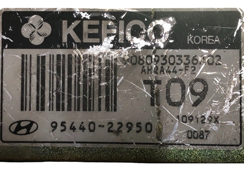 Pcm Computadora Hyundai Accent 1.6l 01-06 95440-22950 (t09)