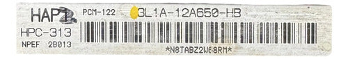 Computadora Ford Expedition 5.4L 2003 3L1A-12A650-HB